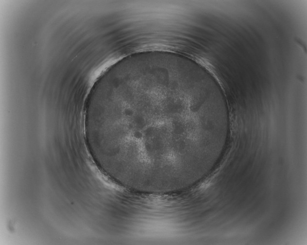 X0000103220987200809040959