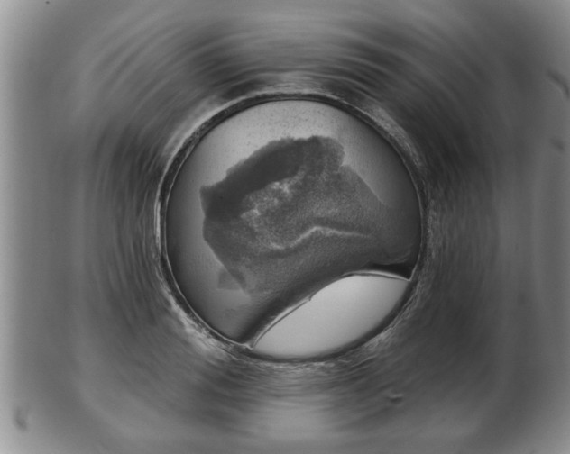 X0000103220988200809040959