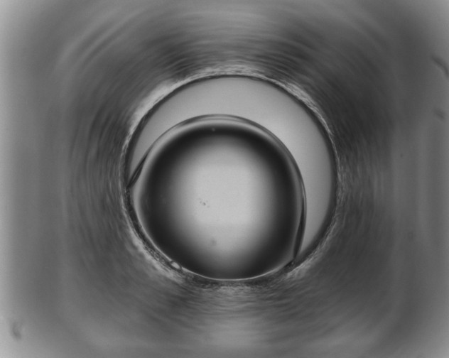 X0000103220989200809040959