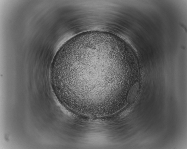 X0000103220991200809040959