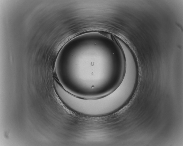 X0000103220993200809040959