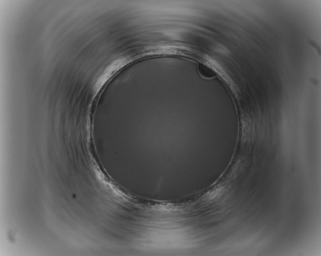 X0000103220994200809040959