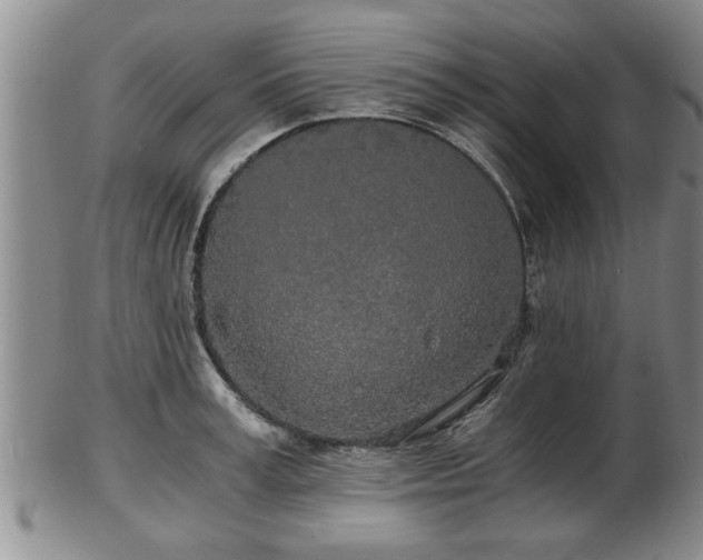 X0000103220995200809040959