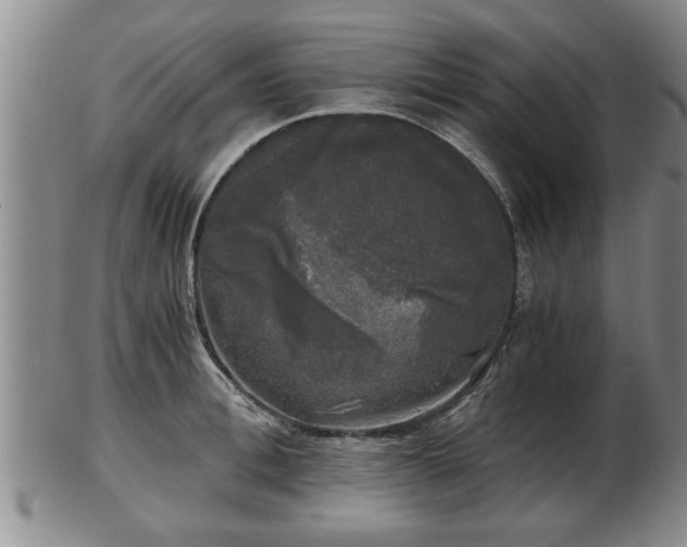 X0000103220996200809040959