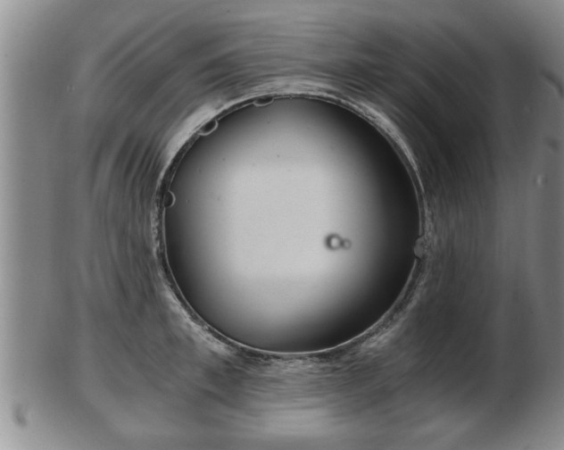 X0000103220997200809040959