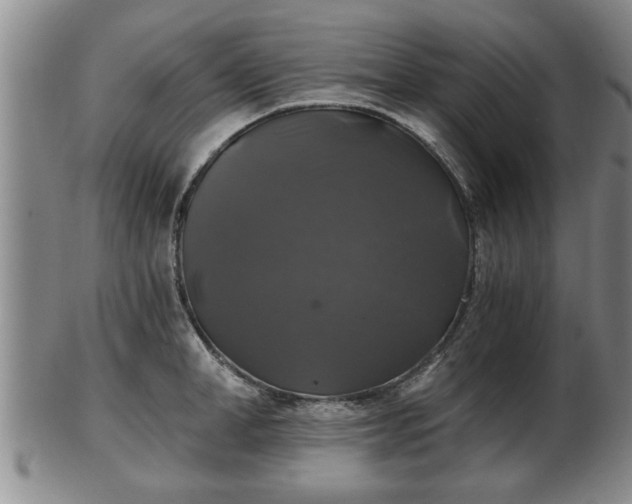 X0000103220998200809040959