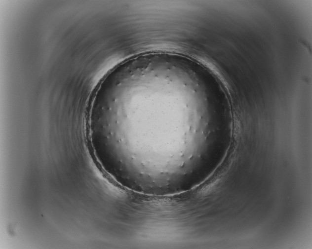 X0000103220999200809040959