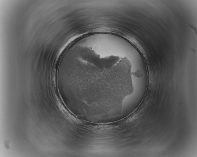 X0000103221000200809040959