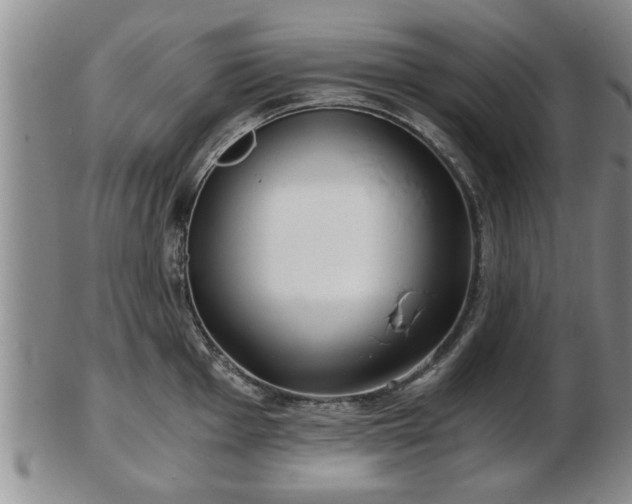 X0000103221001200809040959