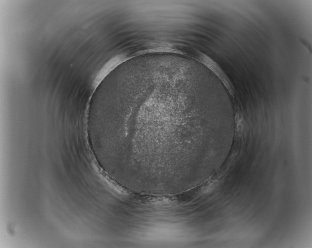 X0000103221002200809040959