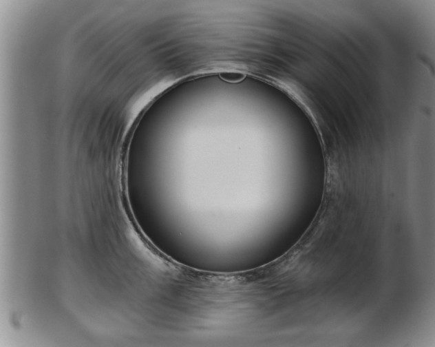 X0000103221003200809040959