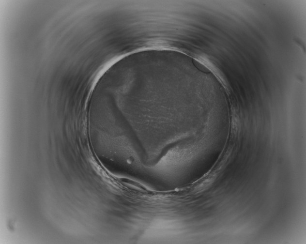 X0000103221004200809040959