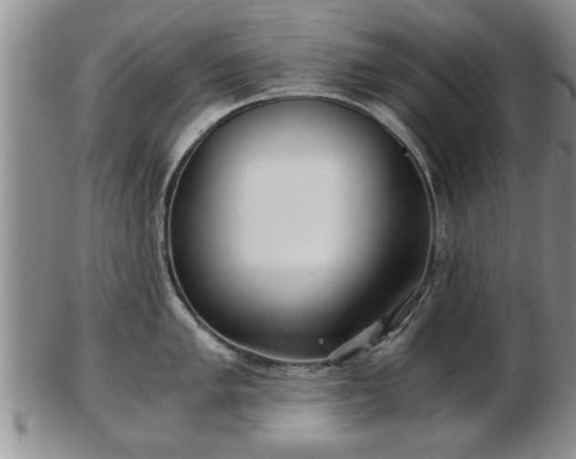 X0000103221005200809040959