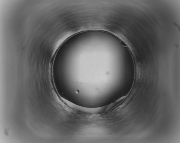 X0000103221006200809040959