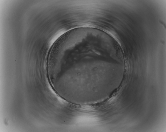 X0000103221007200809040959