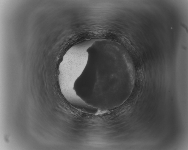 X0000103221009200809040958