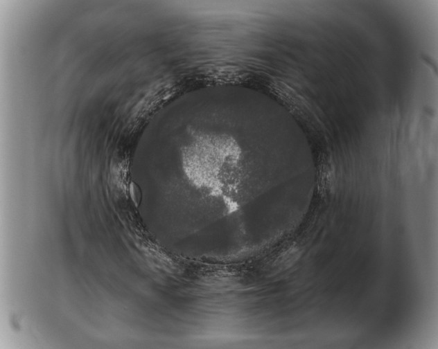 X0000103221010200809040958