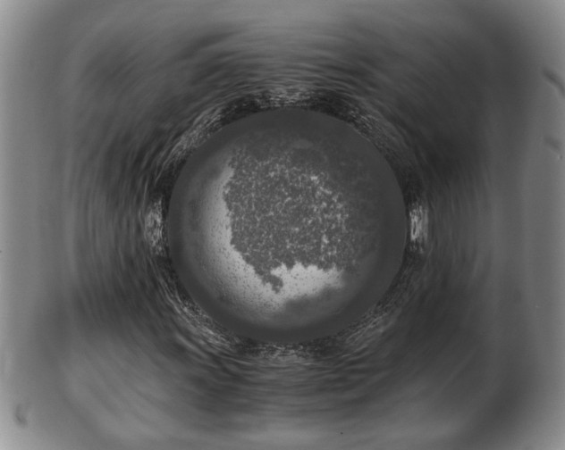 X0000103221011200809040958