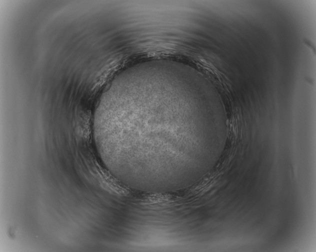 X0000103221012200809040958