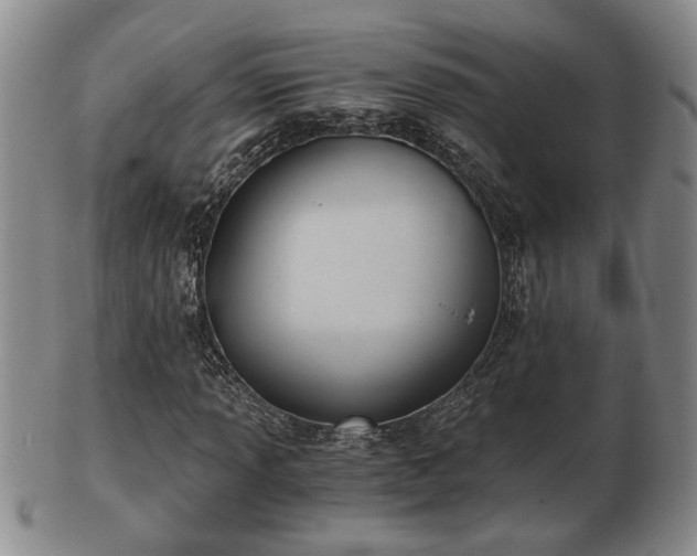 X0000103221013200809040958