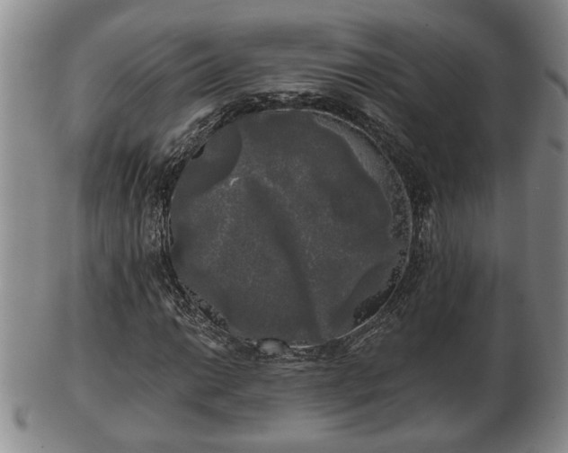 X0000103221014200809040958