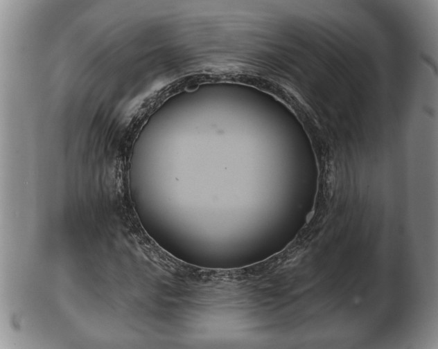 X0000103221016200809040958