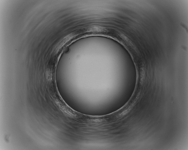 X0000103221017200809040958