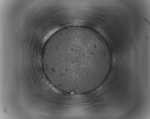 X0000103221018200809040958