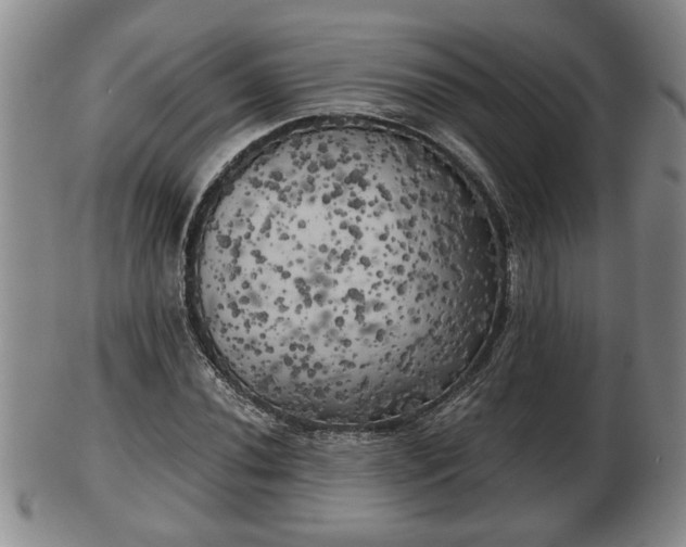 X0000103221020200809040958