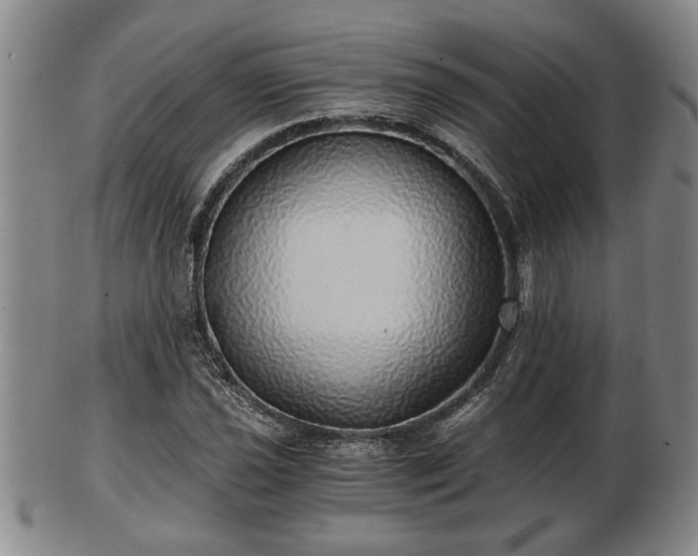 X0000103221021200809040958