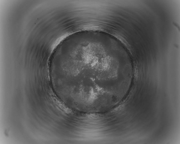 X0000103221022200809040958