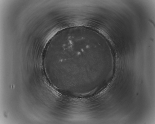 X0000103221023200809040958