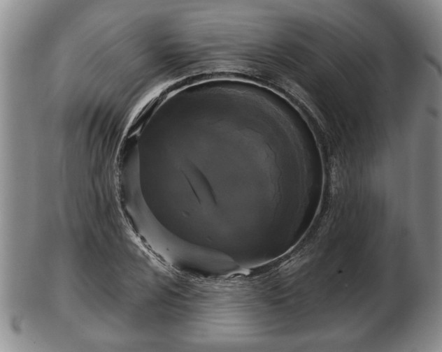 X0000103221024200809040958