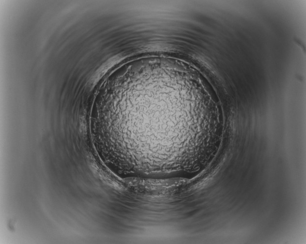 X0000103221025200809040958