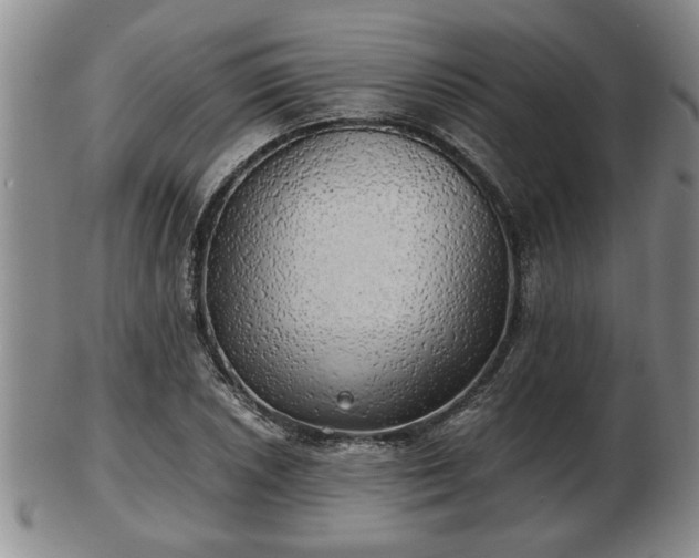 X0000103221026200809040958