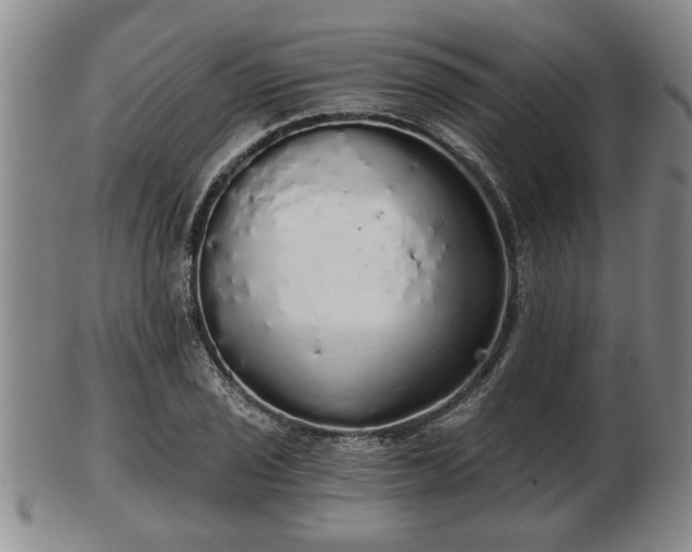 X0000103221029200809040958