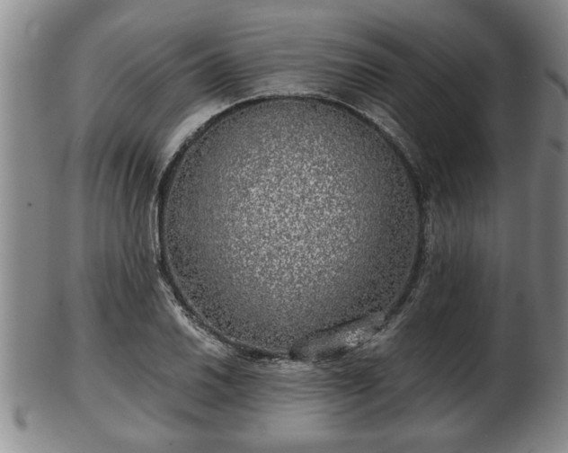 X0000103221030200809040958