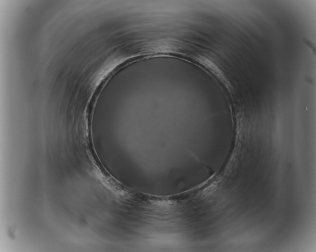 X0000103221031200809040958