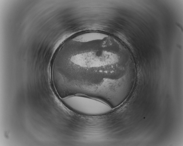 X0000103221032200809040958