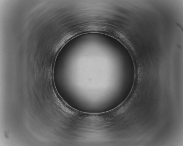 X0000103221033200809040958