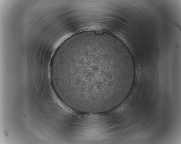 X0000103221034200809040958