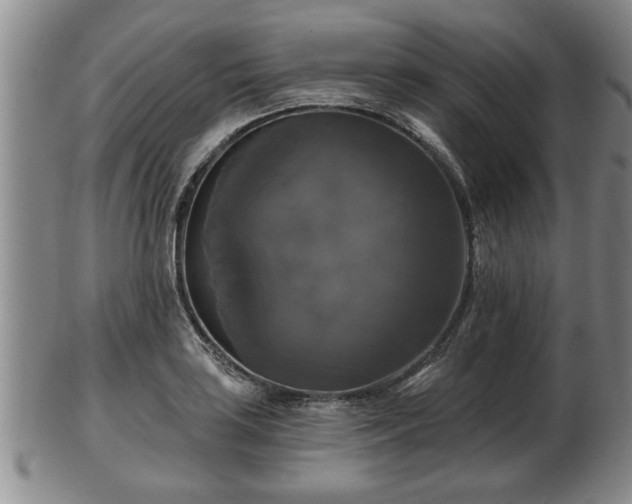 X0000103221035200809040958