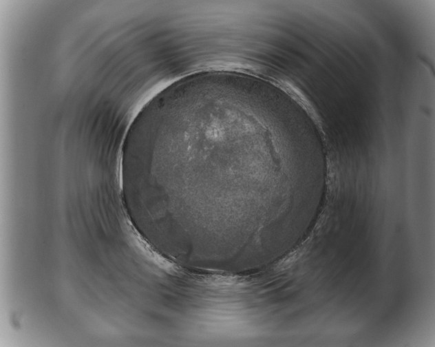 X0000103221036200809040958