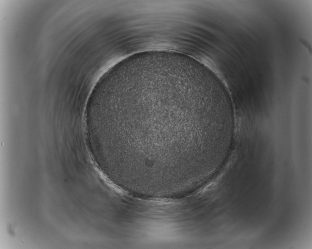 X0000103221037200809040958