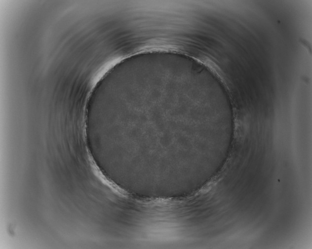 X0000103221038200809040958