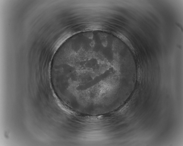 X0000103221039200809040958