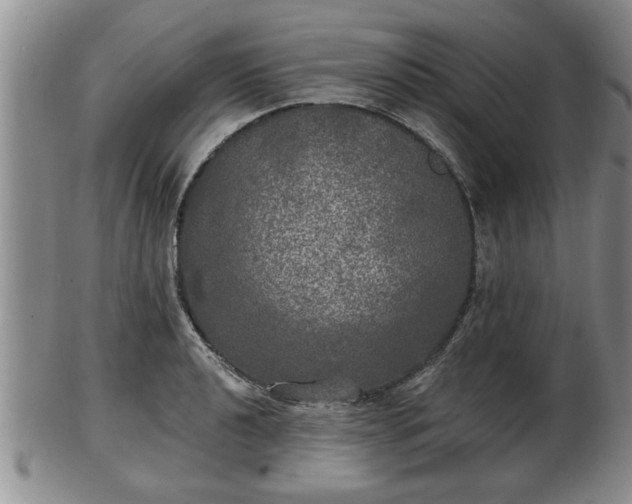 X0000103221040200809040958