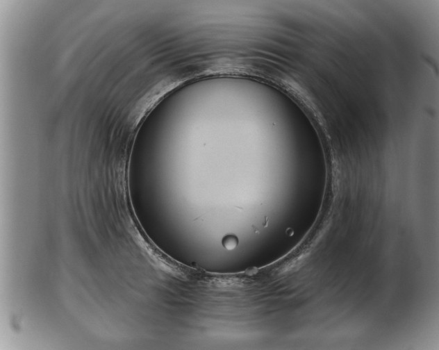 X0000103221041200809040958