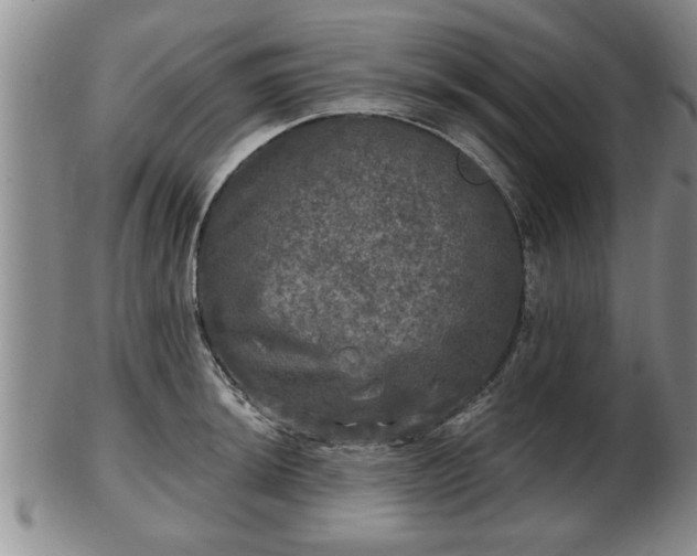 X0000103221044200809040958