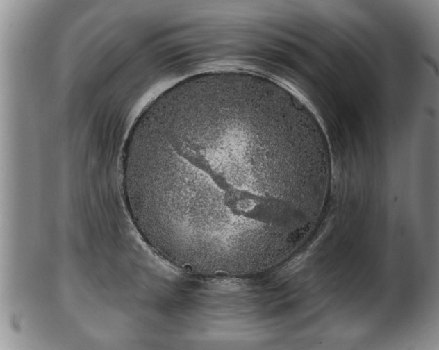 X0000103221045200809040958